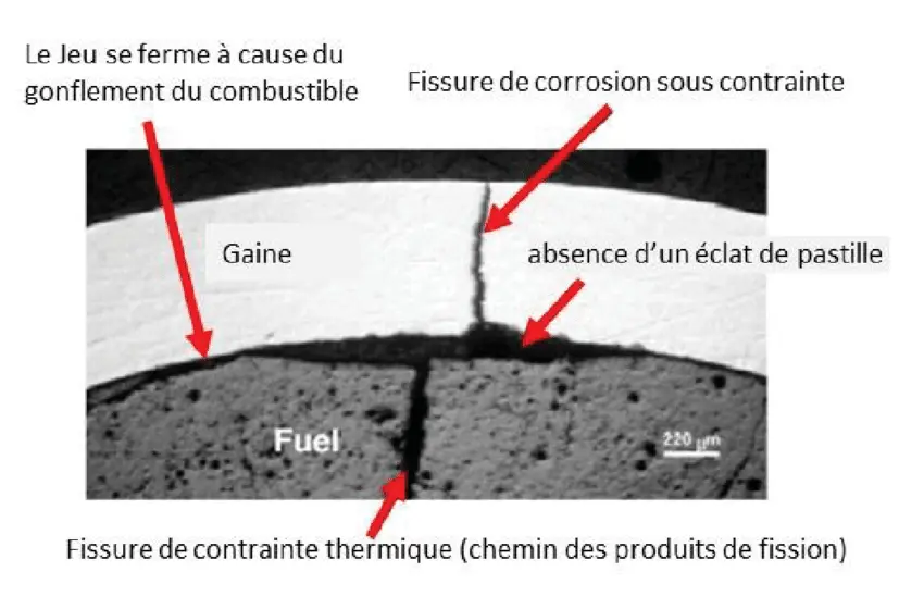 Fissuration par corrosion sous contrainte dans une gaine de combustible due à l'IPG