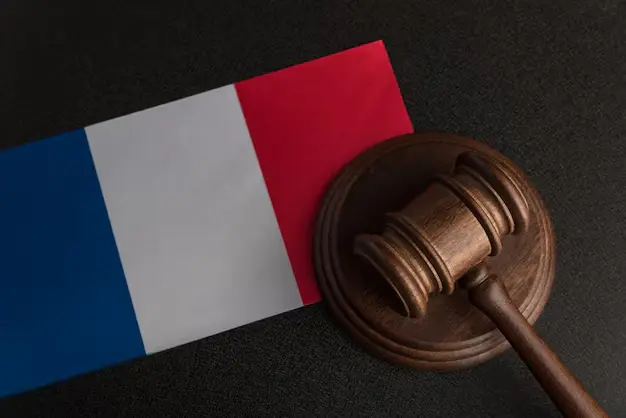 loi constitutionnelle législation française