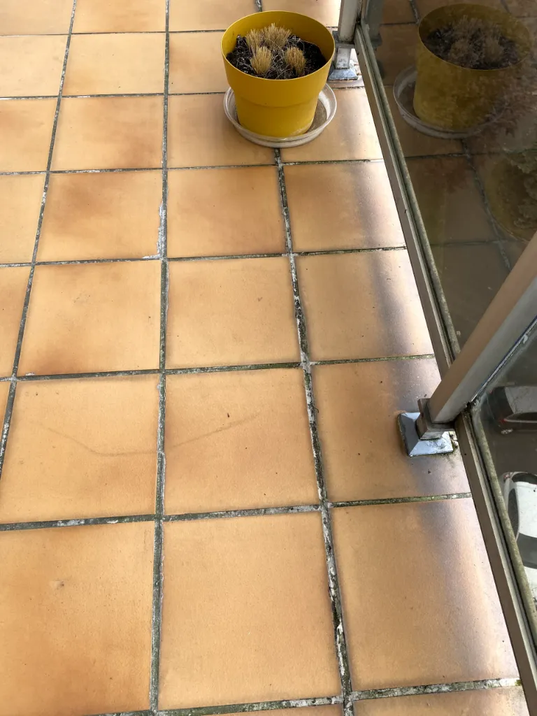 Vue générale du carrelage de sol d'un balcon présentant son état de conservation et les éventuelles dégradations visibles.