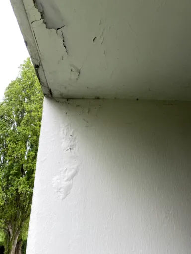 Éclats du revêtement et Trace d’infiltration d’eau