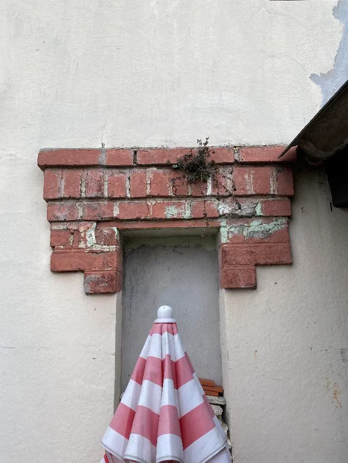 Façade présentant une végétation envahissante au contact des maçonneries, susceptible de favoriser l'humidité et la dégradation des matériaux.