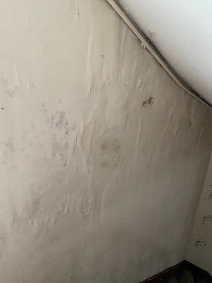 Mur présentant d'importantes traces d'infiltration d'eau, une forte humidité et des dégradations des revêtements dues à l'humidité.